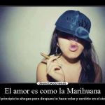 marliss j